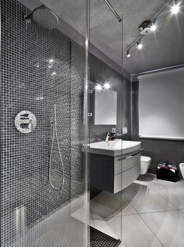 Contemporary Bathroom Shower